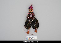 藏品(印度傀儡人物)的圖片